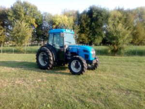 LANDINI REX