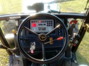 LANDINI REX