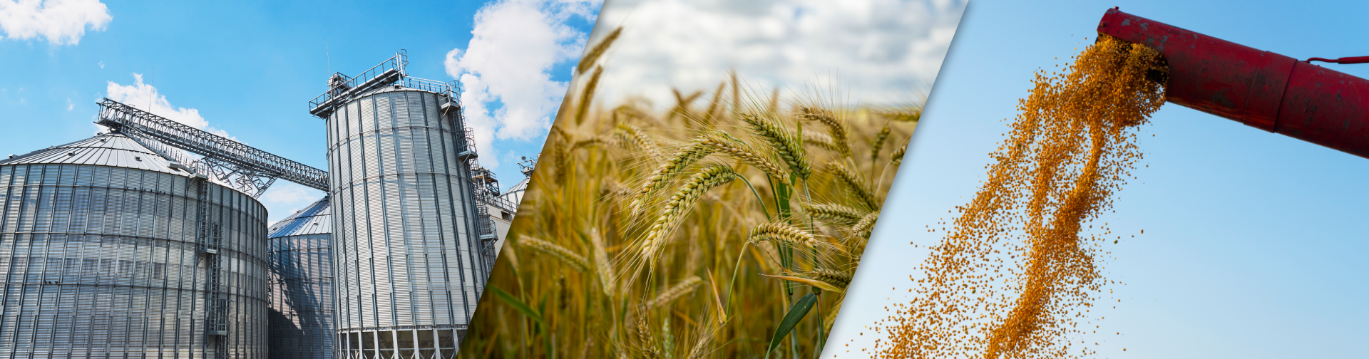 IMPIANTI DI ESSICCAZIONE E STOCCAGGIO CEREALI